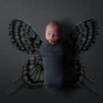 צילום ניובורן לתינוק על רקע דיגיטלי של פרפר אפור