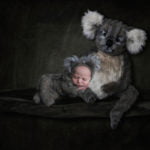 צילומי ניו בורן לתינוקת עם בובת קואלה