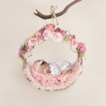 צילום ניובורן לתינוקת על מנשא עם פרחים ורודים